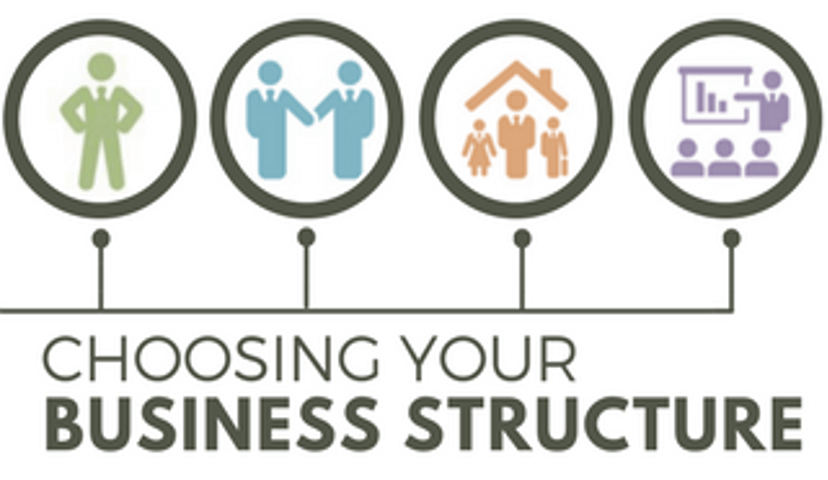 Business structure flow chart