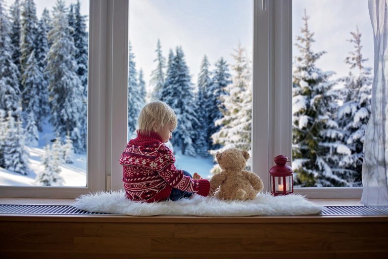 What Are the Best Windows For Canadian Winters?