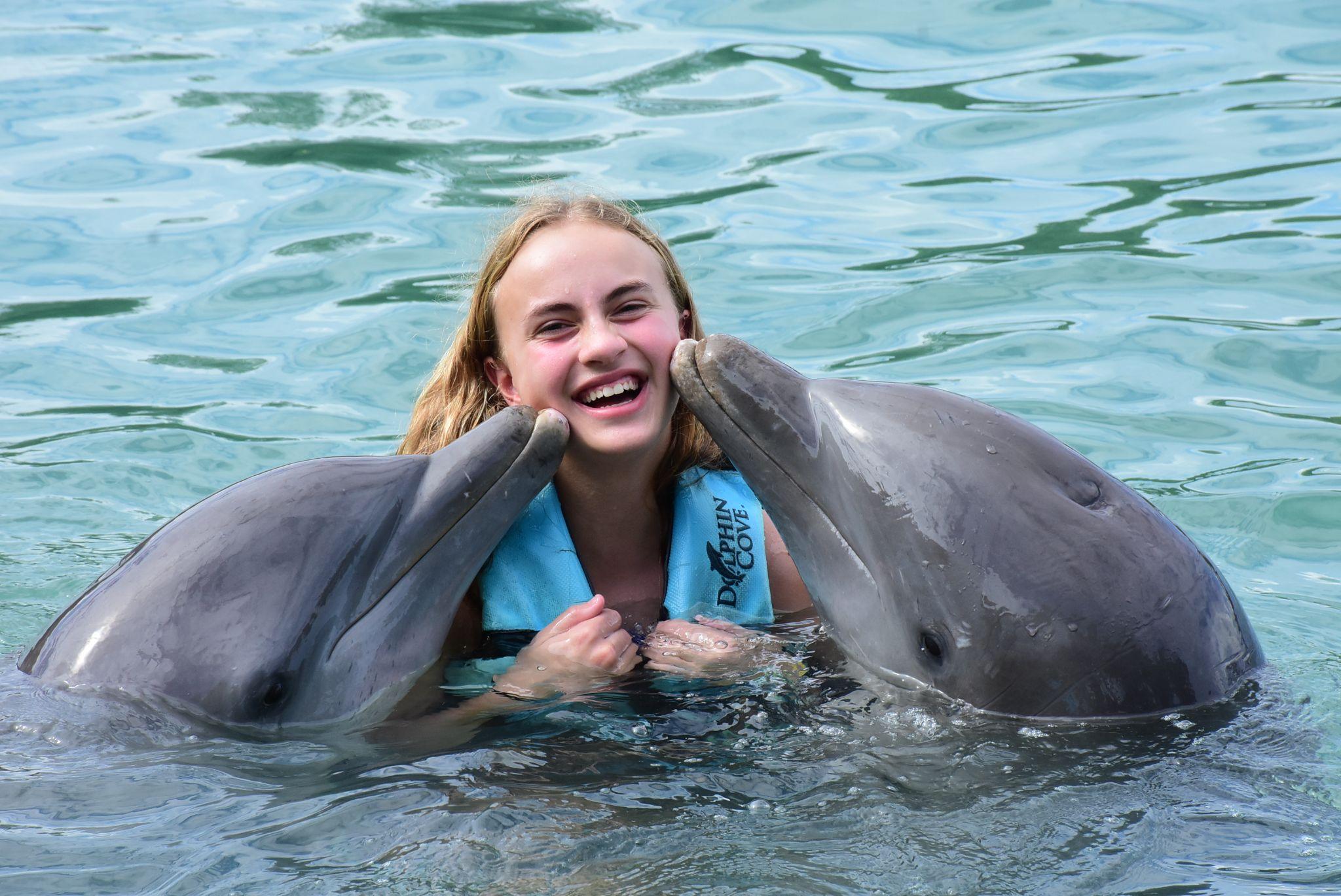 Explore Jamaica's Premier Cruise Attractions: Immerse Yourself in the Adventure of Dolphin Cove